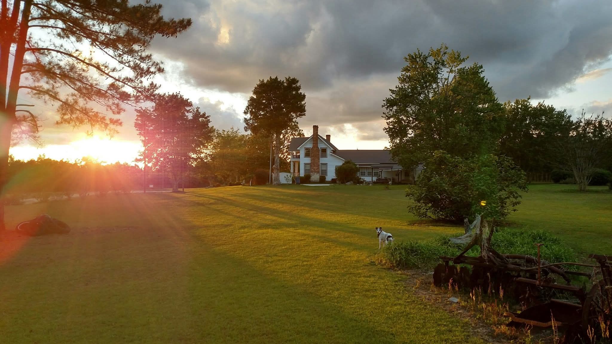Golden-hour sunlight over a freshly cut lawn and farmhouse